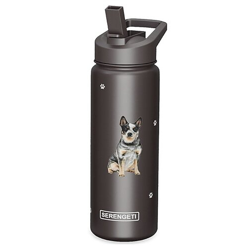 Water Bottle - Australian Cattle Dog